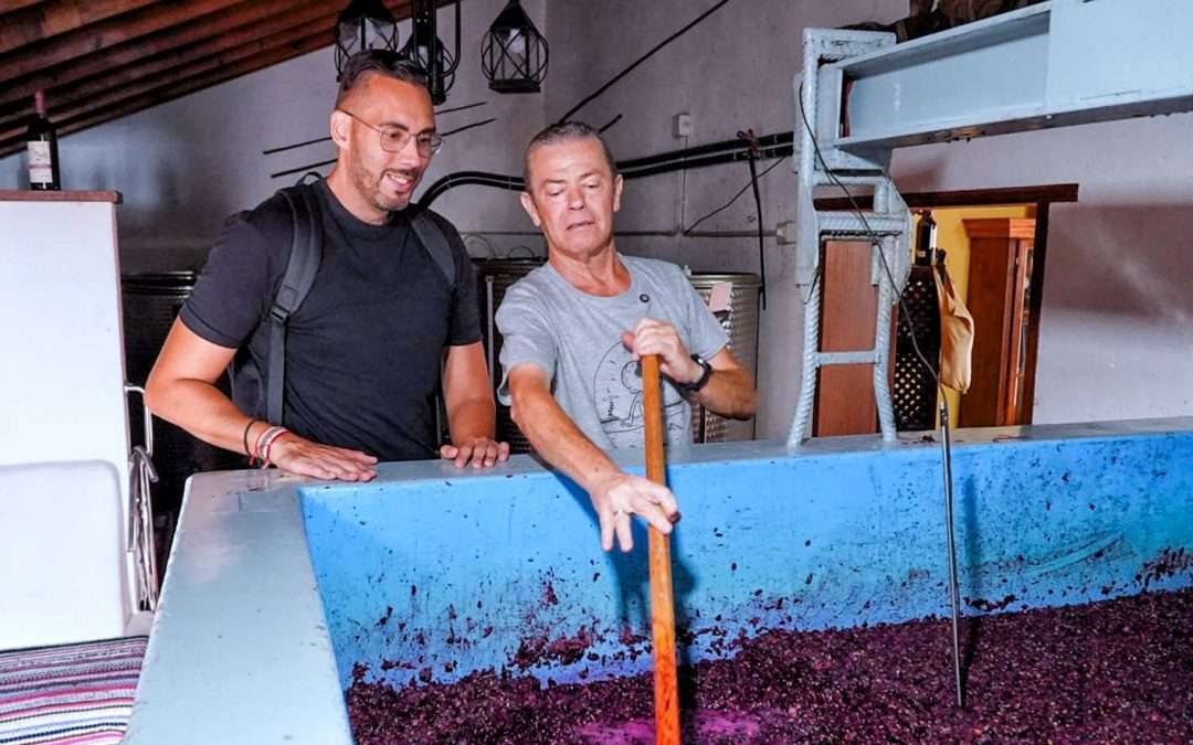 Ciudades a Pie graba una miniserie documental sobre las cinco bodegas laguneras adscritas a la DO Tacoronte-Acentejo