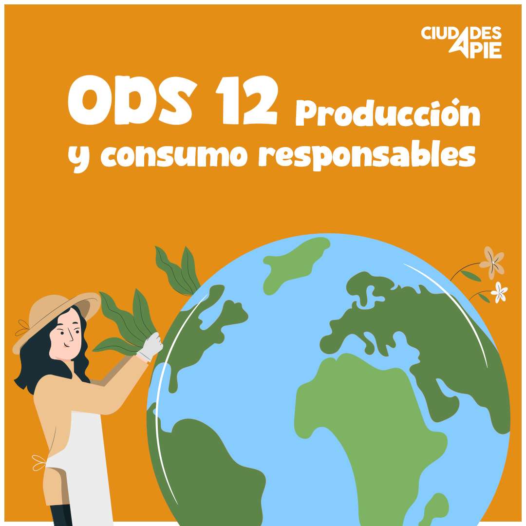 ODS 12 1