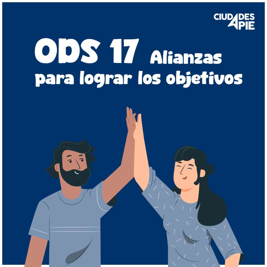 ODS 17 1